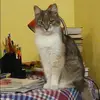 Отзыв от Ираида Фетисова